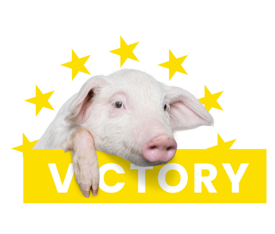 Victory
