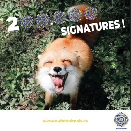 Euforanimals