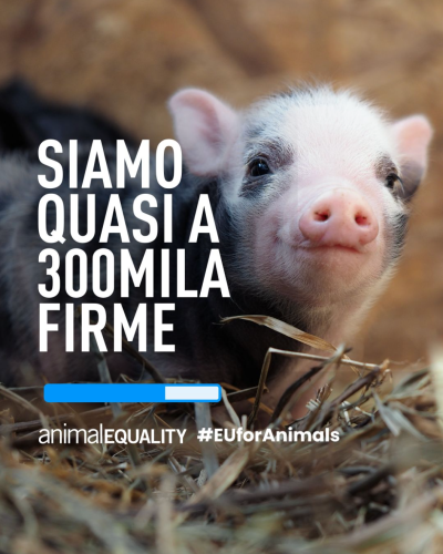 Euforanimals