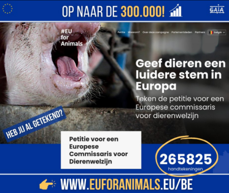 Euforanimals