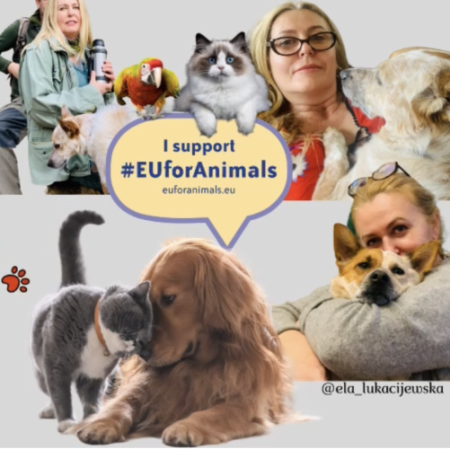 euforanimals