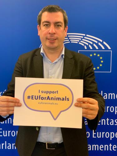 euforanimals