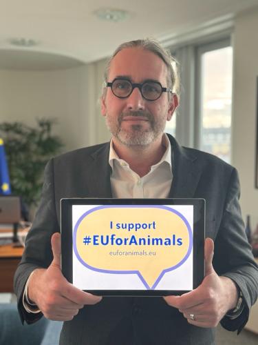 euforanimals