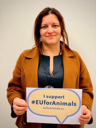 euforanimals